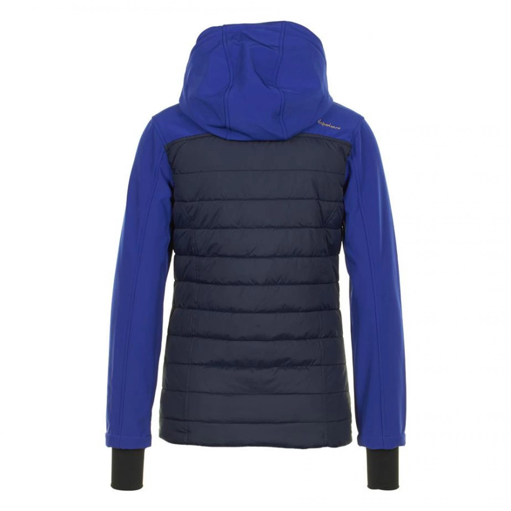 Blouson Softshell Femme ANDI Bleu 2 Blouson Softshell Femme ANDI Bleu – Image 2